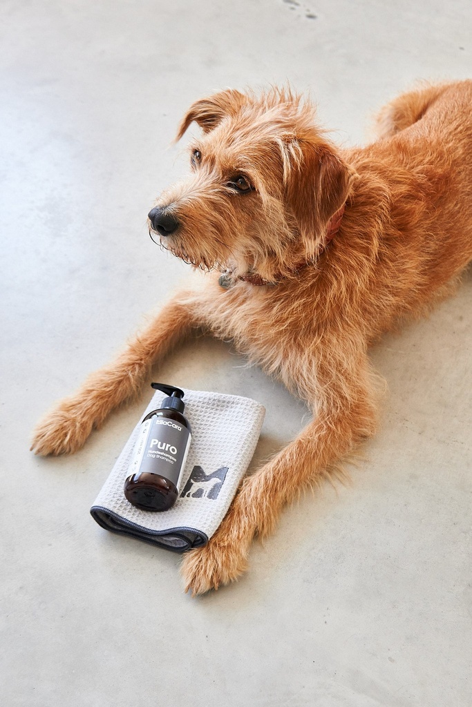 Puro Dog Shampoo