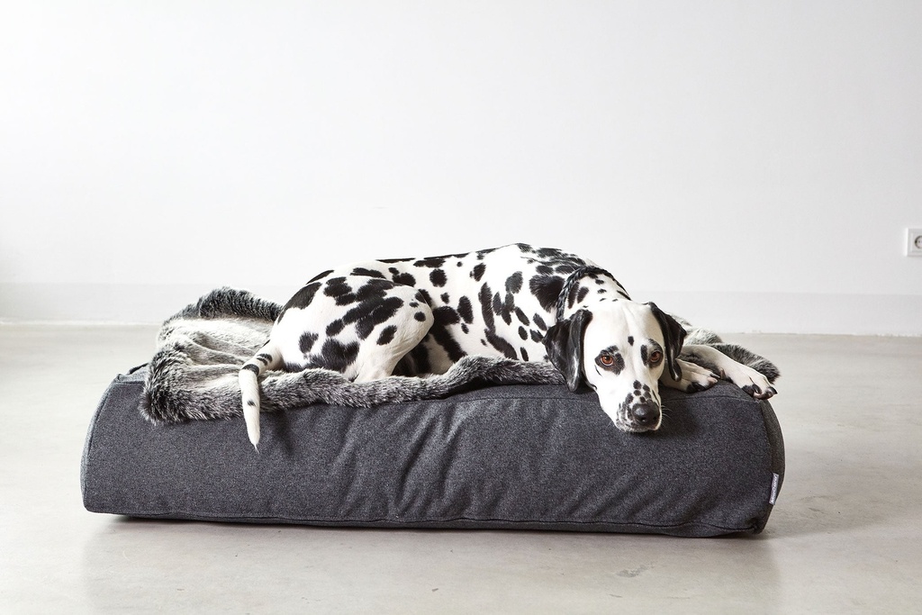 Stella Lounge Kussen Mottled Anthracite