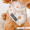daisychain3.webp
