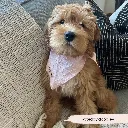 babypink5.webp