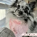 babypink4.webp