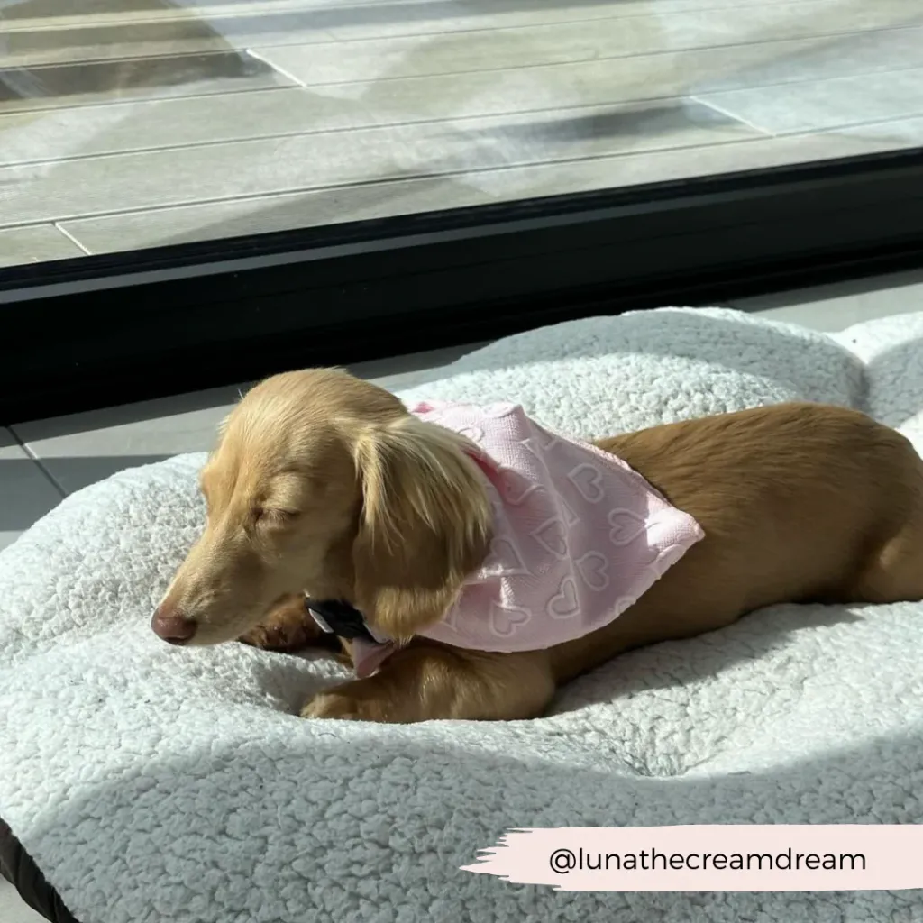 babypink6.webp