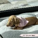 babypink6.webp