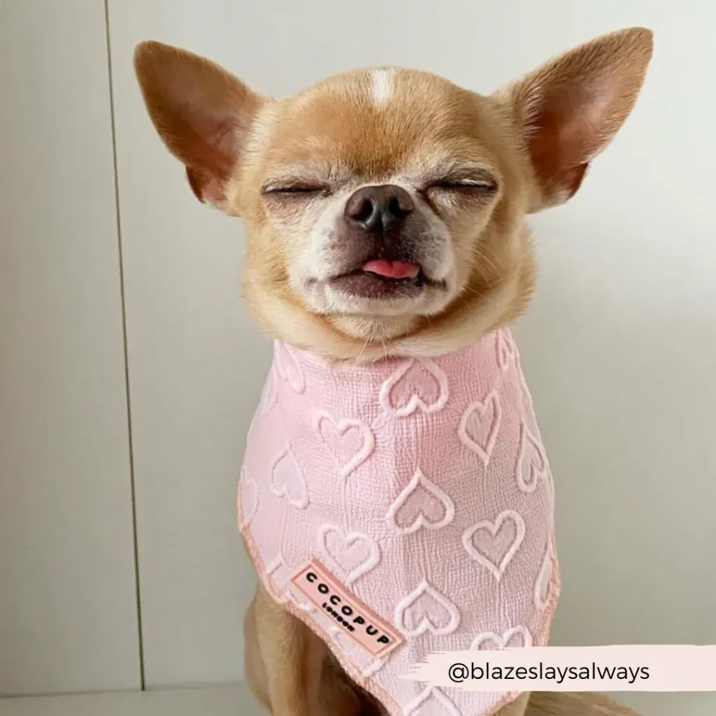 babypink3.webp