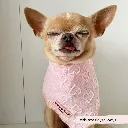babypink3.webp