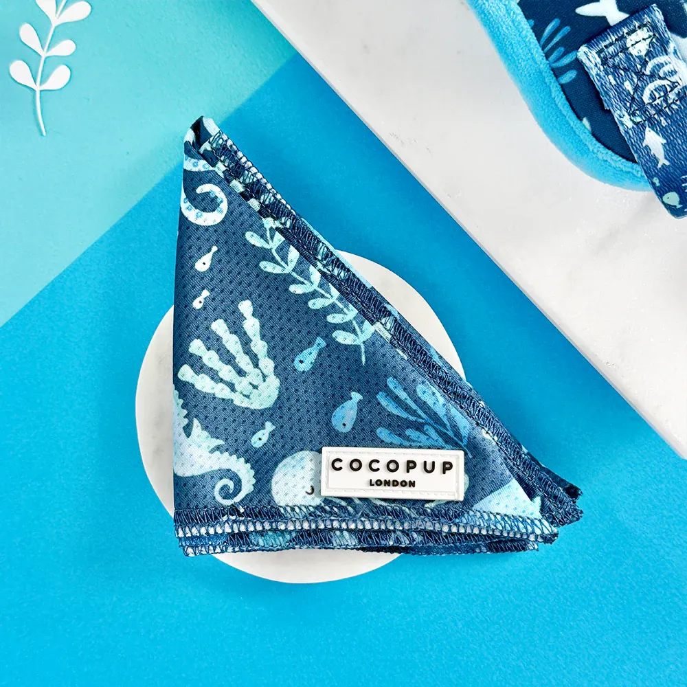 sealife2.webp