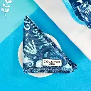 sealife2.webp