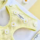 buttercup2.webp