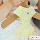 buttercup7.webp