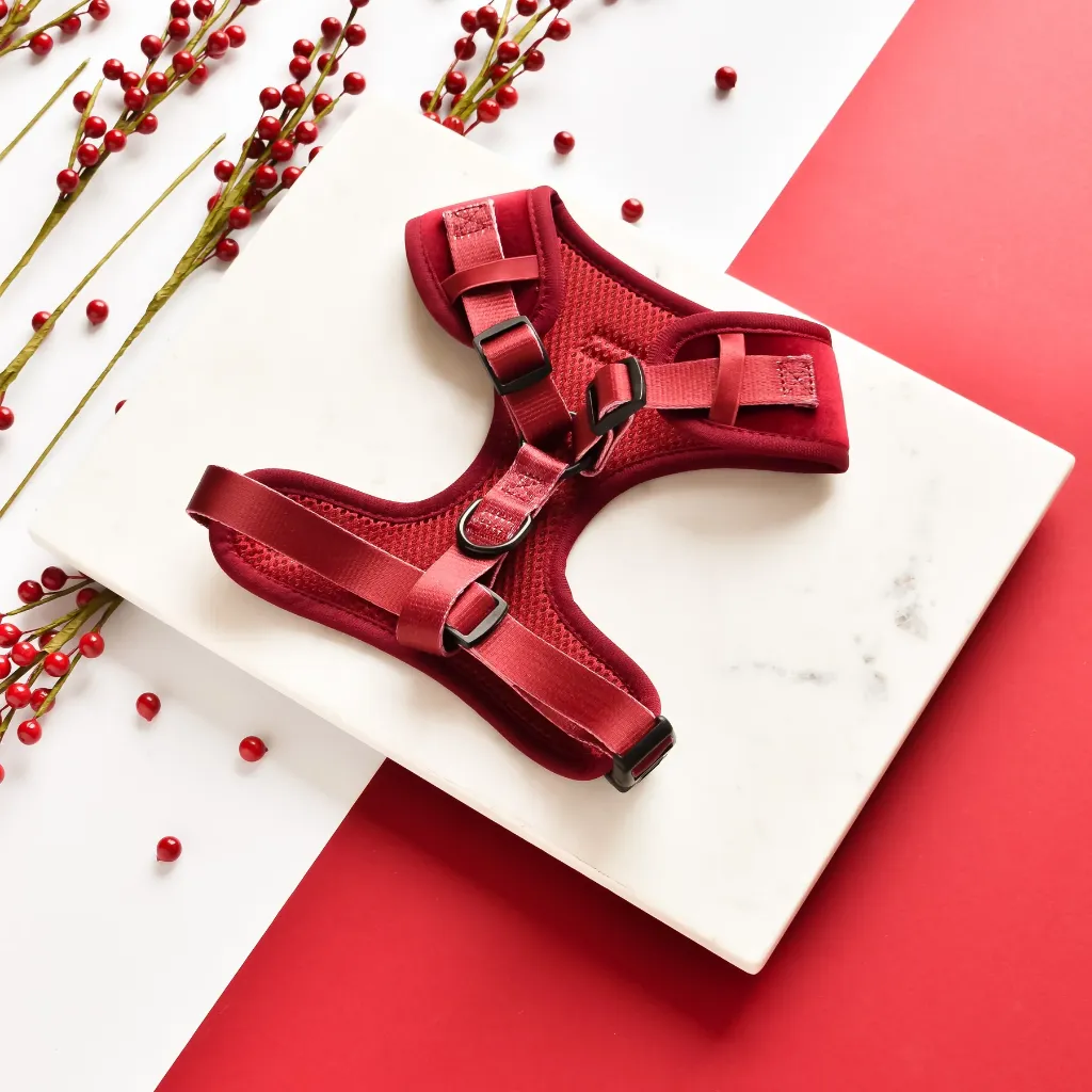red2.webp