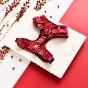 red2.webp