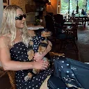 polka5.webp