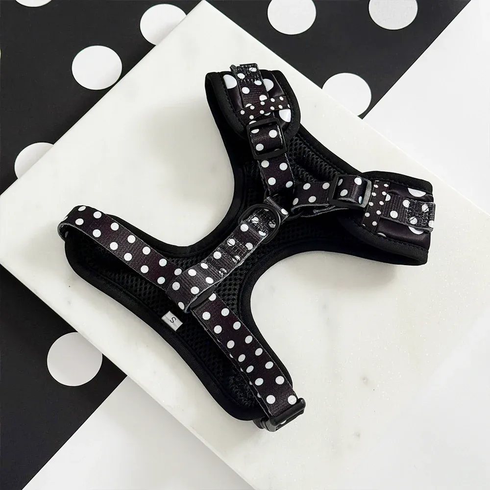 polka3.webp