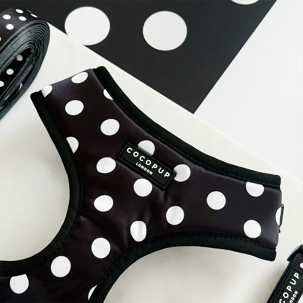 polka2.webp
