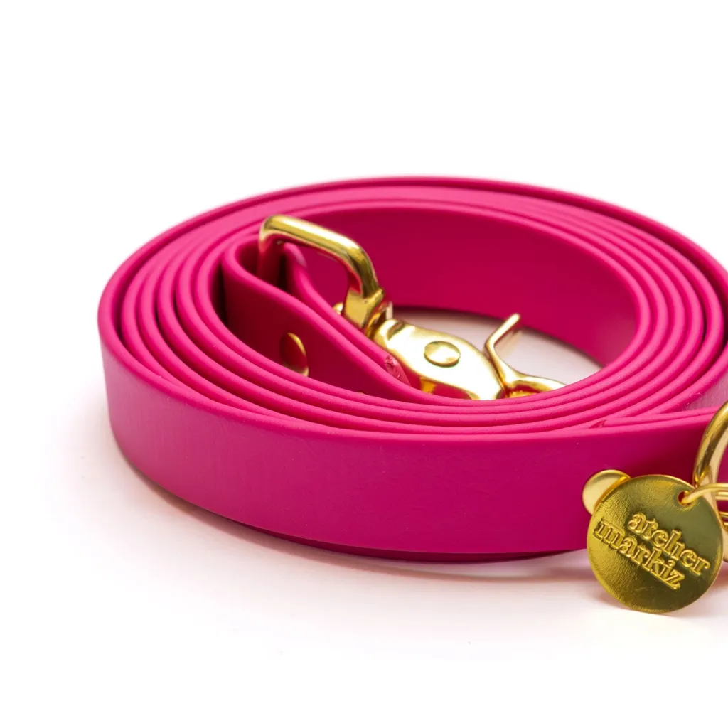 fuchsia2.webp