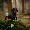 BFA06649_1920x1920.webp