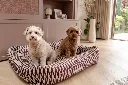marrakesh2.webp