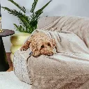 8719733013509-6.webp