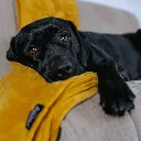 8719733013950-1.webp