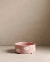 cloudpink.webp