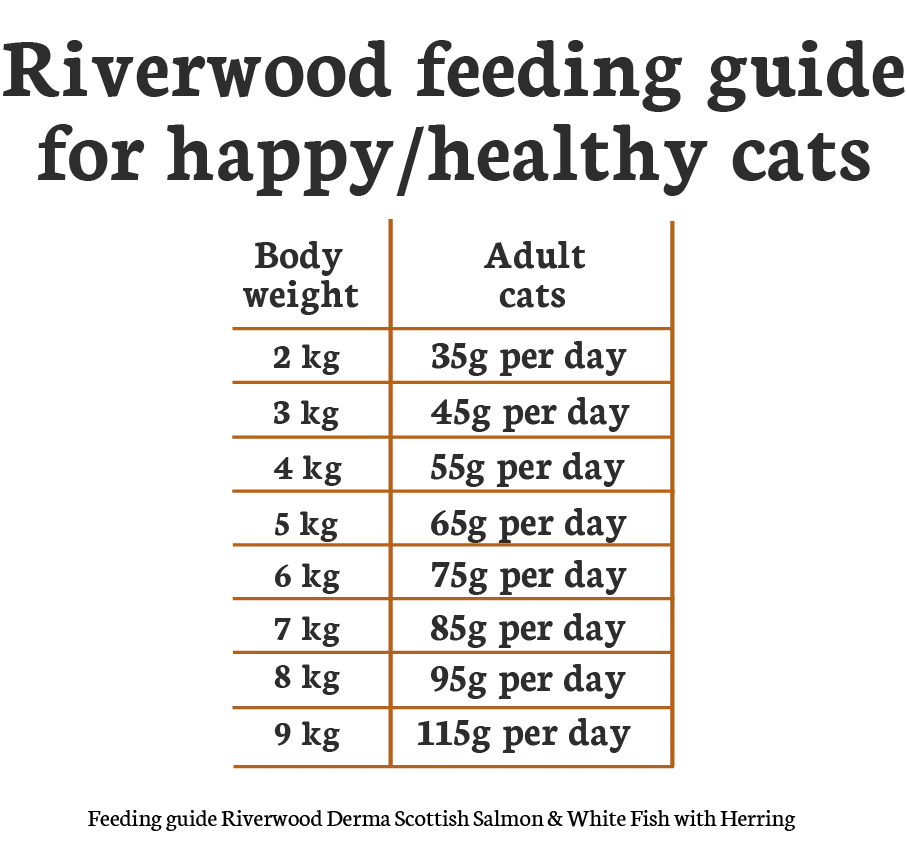 Riverwood Cat Derma RDA_1920x1920.webp