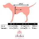 maattabel.webp