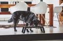 MC_C06-007-04-M_Eat_Desco_Ash_Black_Stained_720x.jpg?v=1677006055
