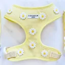 Harnais Buttercup Pup - Jaune