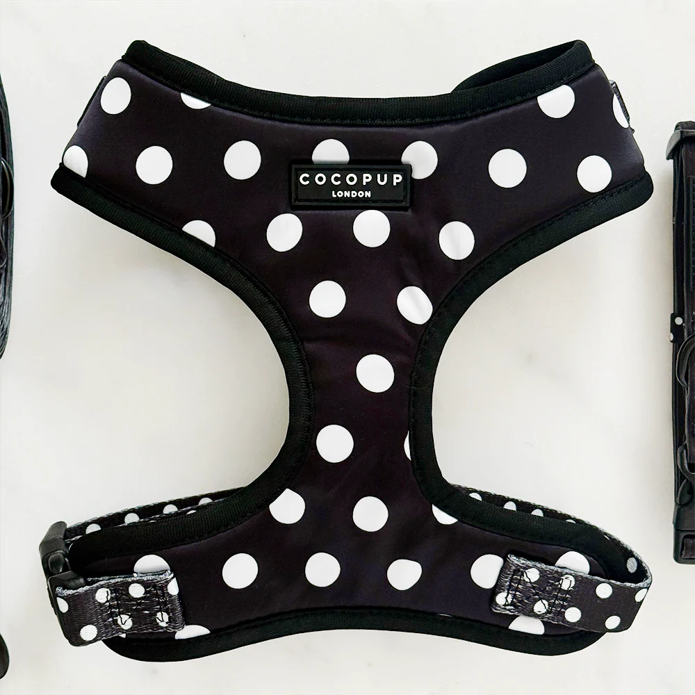 Harnais en satin - Polkadots