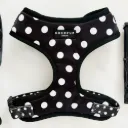 Satijnen harnas - Polkadots