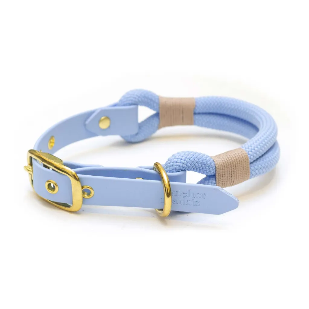 Halsband met vergulde gesp - Polar (XS)