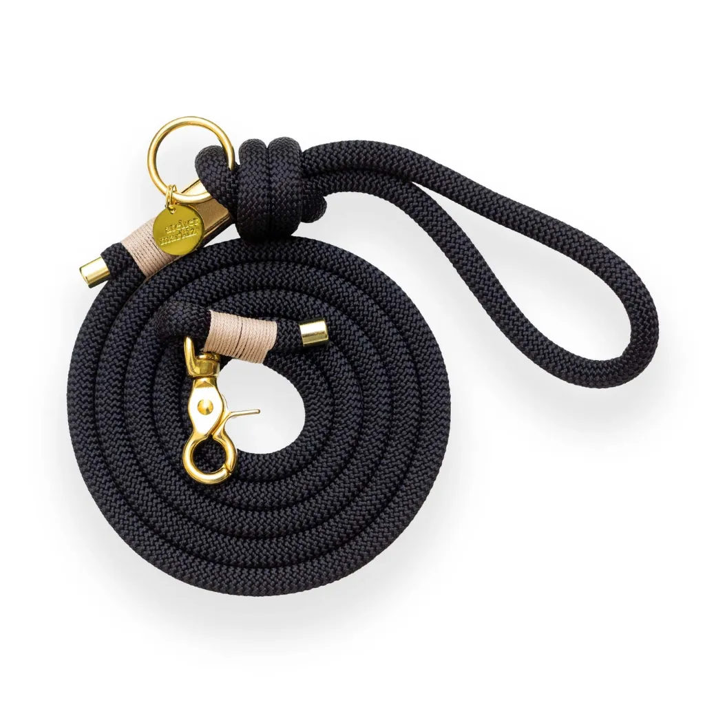 Leiband met vergulden sluiting - Zwart (Enkelvoudig - 180cm)