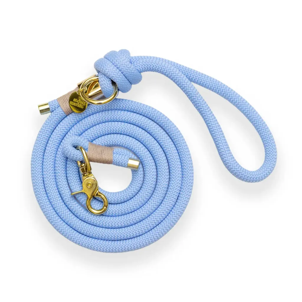 Leiband met vergulden sluiting - Polar (Enkelvoudig - 180cm)