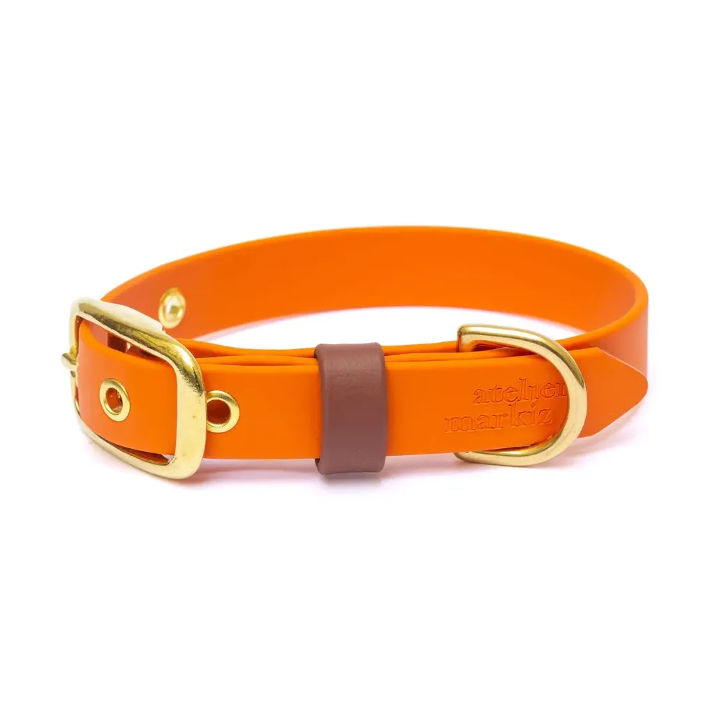 Waterdichte halsband met vergulde gesp - Mandarijn