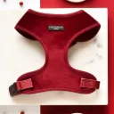Harnais de luxe en velour - Rouge baie