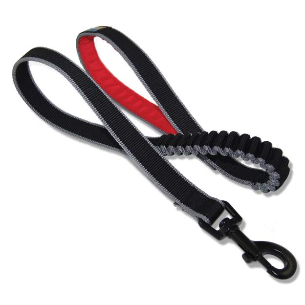 Laisse Springback Lite